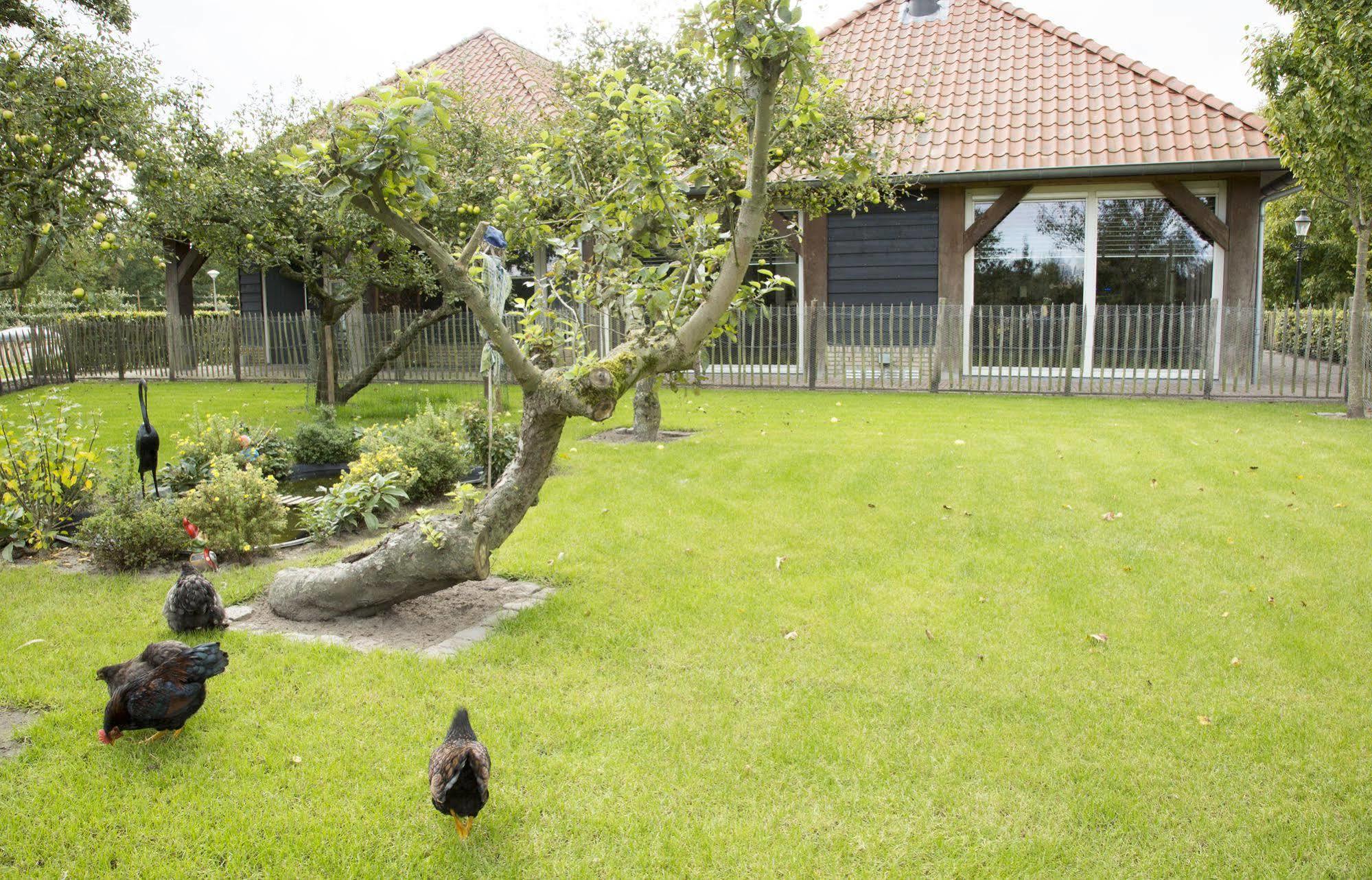 ס-חרבנמור Hotel Hof Van 'S Gravenmoer מראה חיצוני תמונה